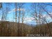 CC13  Verbena , Black Mountain, NC