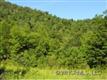 75  White Rock Mountain Parkway , Candler, NC
