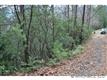 M36 Pine Mountain Trail, Brevard, NC 28712