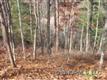 0 Hummingbird Lane, Robbinsville, NC 28702