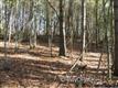 9999 Gap Creek Rd, Fletcher Bun, NC 28732