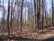 9999 Holly Hill Rd., Candler, NC 28715