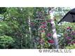 0  Appalachian , Hendersonville, NC