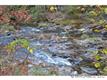 Lot 70A  Back River Trail , Marshall, NC