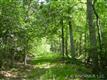133  Walnut  Valley Parkway , Arden, NC