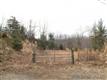 Spruce Pine