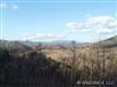 Spruce Pine