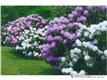 530 Strawberry Ridge Road, Little Switzerland, NC 28714