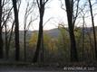 000  Patton  Mountain Road , Asheville, NC