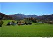 0000 Williams Branch Road, Barnardsville, NC 28709