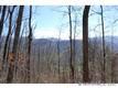 0000 Williams Branch Road, Barnardsville, NC 28709