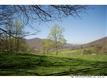 0000 Williams Branch Road, Barnardsville, NC 28709