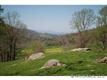 0000 Williams Branch Road, Barnardsville, NC 28709