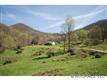 0000 Williams Branch Road, Barnardsville, NC 28709