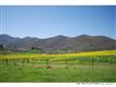 0000 Williams Branch Road, Barnardsville, NC 28709
