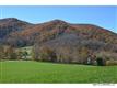 0000 Williams Branch Road, Barnardsville, NC 28709