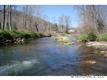 0000 Williams Branch Road, Barnardsville, NC 28709