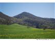 0000 Williams Branch Road, Barnardsville, NC 28709