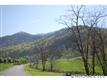 0000 Williams Branch Road, Barnardsville, NC 28709