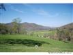 0000 Williams Branch Road, Barnardsville, NC 28709