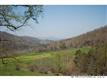 0000 Williams Branch Road, Barnardsville, NC 28709