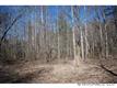 0000 Williams Branch Road, Barnardsville, NC 28709