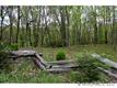 831  Garren Creek Road , Fairview, NC