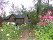 1244  Frady Cove , Sylva, NC