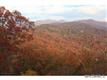 Asheville