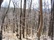 Land for sale in Black Mountain, NC 28711