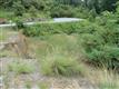 114 Preserve Ct, Hendersonville, NC 28791