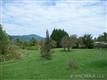 464  Mark Freeman , Edneyville, NC