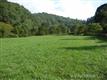 305 Pound Mill Branch Road, Marshall, NC 28753