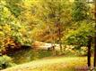 1384 Old Fort Road, Fairview, NC 28730