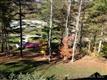 118 Kelly Hunter Road, Mars Hill, NC 28754