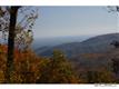 Asheville