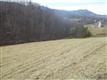 17  Jilmar Ct. , Candler, NC