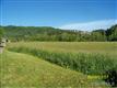 Weaverville