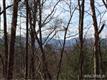 50  Pearly Wickham Drive Lot #1059 , Biltmore Lake, NC