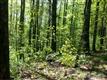 0000  Carolina Hills , Hendersonville, NC