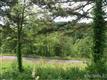 Lot 16  Crossing Parkway , Marshall, NC