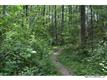 000  Spring Road , Hendersonville, NC