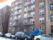 3215  Olinville Ave , Bronx, NY