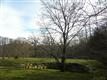 375 Hook Rd, Katonah, NY 10536