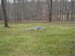 7 Patterson Rd, Pound Ridge, NY 10576